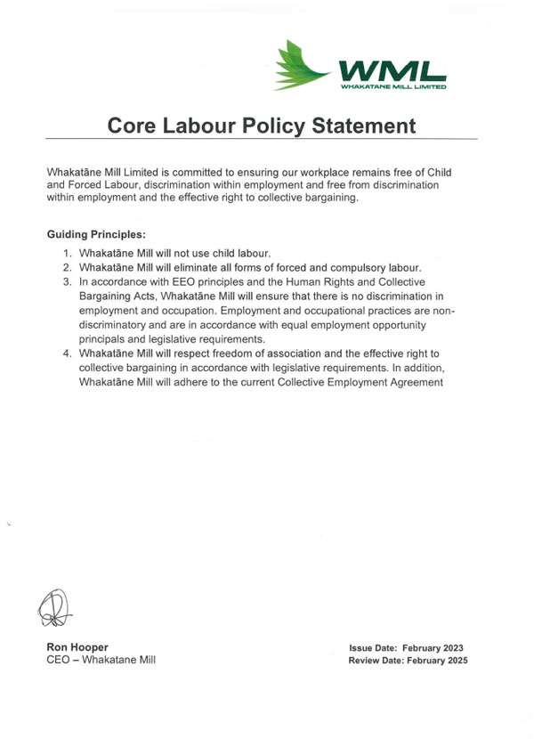 core-labour-policy-statement